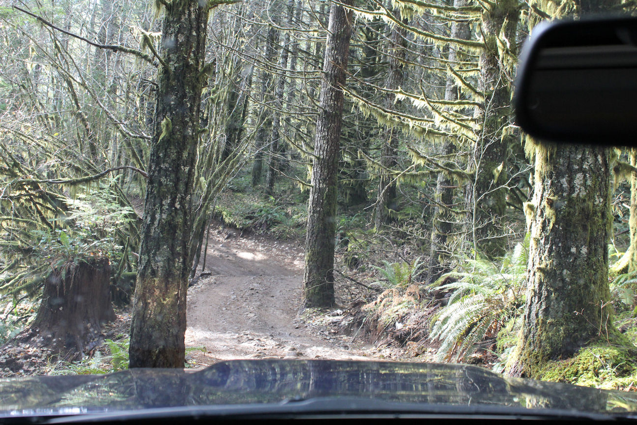 bc_11-16-1.JPG