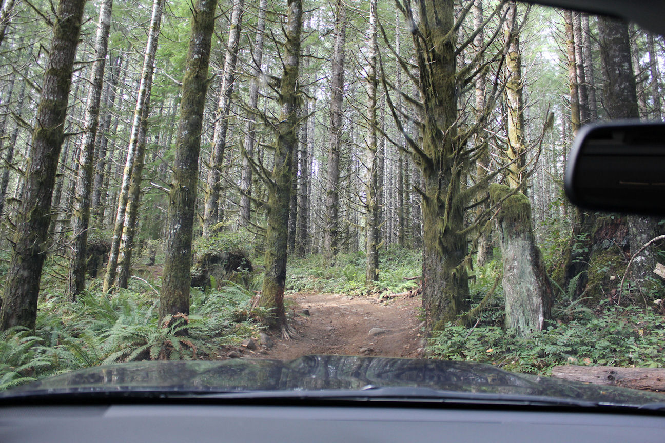 bc_11-16-3.JPG