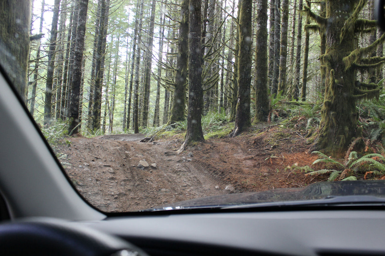 bc_11-16-4.JPG